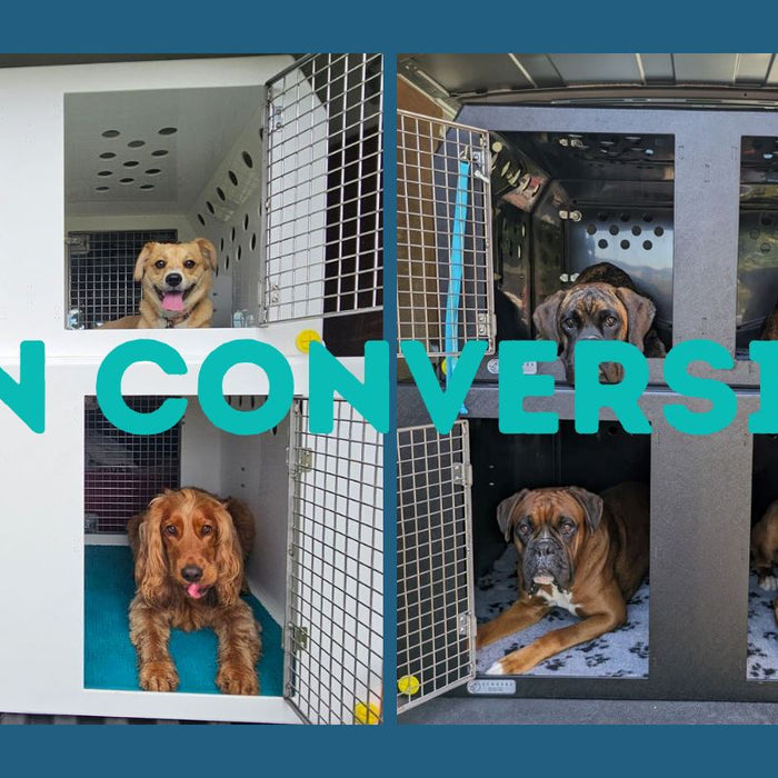 Dog Walking Van Conversion, the Perfect Solution!