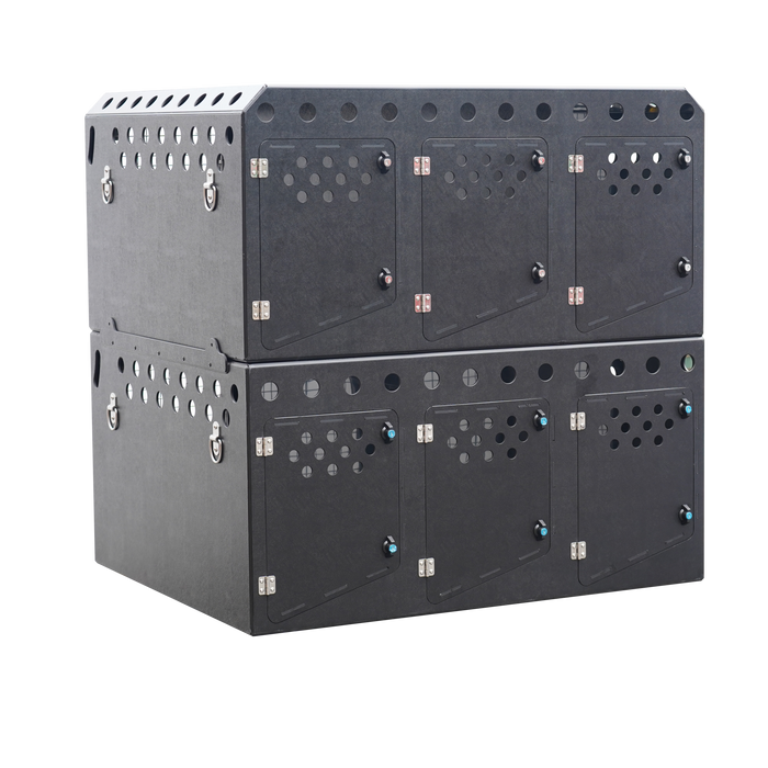 Dog Van Kit | Citroen Dispatch | 2017 > | Double stack | DT VM6 - DT BOXES