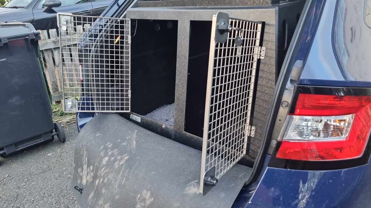 Skoda Fabia | 2014 - 2020 | Dog Travel Crate | DT 19 Animals & Pet Supplies DT BOXES