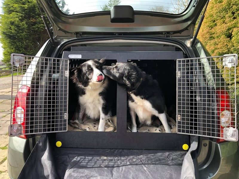 2 dog car crate hotsell