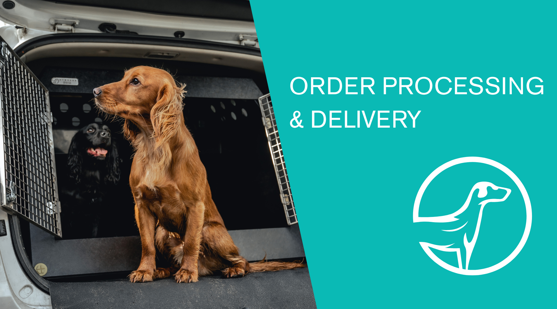 I have ordered my DT Box. What happens Next?