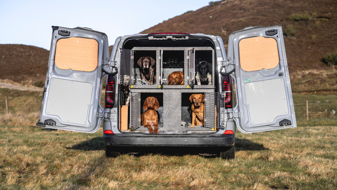 Dog Walking Van Conversion, the Perfect Solution!