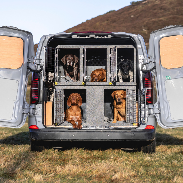 Dog Walking Van Conversion, the Perfect Solution!