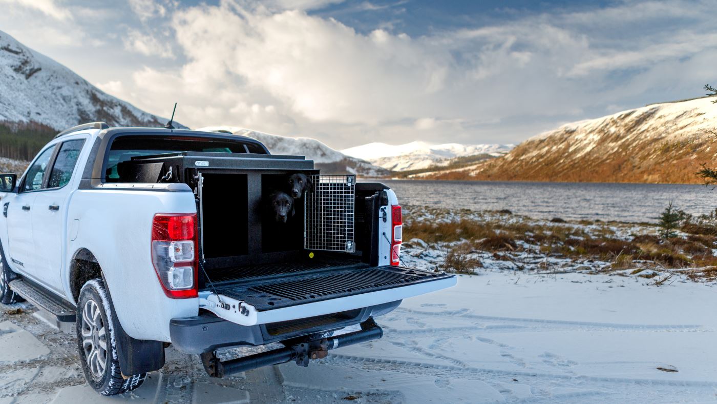 The Safest Way to Travel with your dog in a Pickup Truck