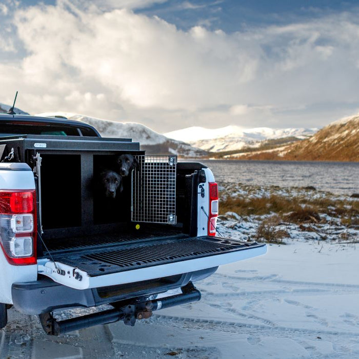 The Safest Way to Travel with your dog in a Pickup Truck