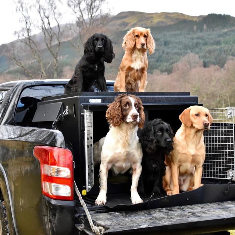 SSANGYONG MUSSO | 2018-PRESENT | DOG PICKUP CRATES - DT BOXES