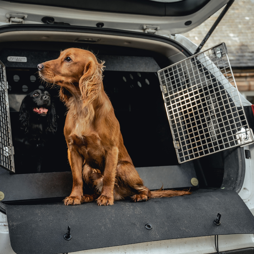Bumper Protectors: Dog Car Crate Protector Mat — DT BOXES