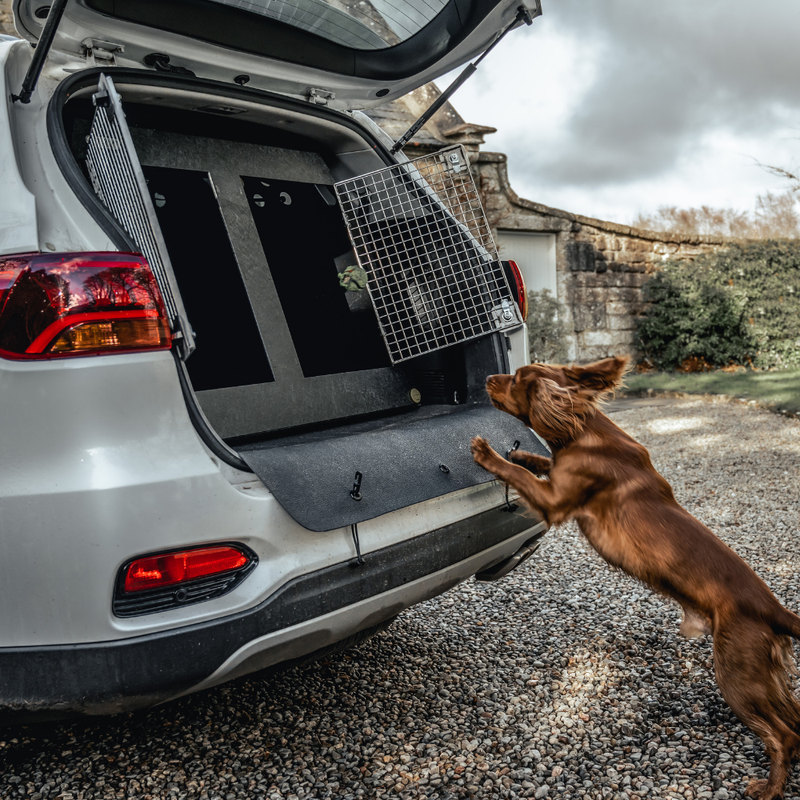 DT BOXES | Bumper Protector - DT BOXES