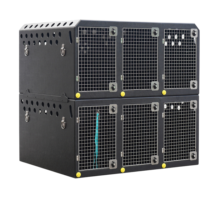Dog Van Kit | Double stack | DT VM6 - DT BOXES