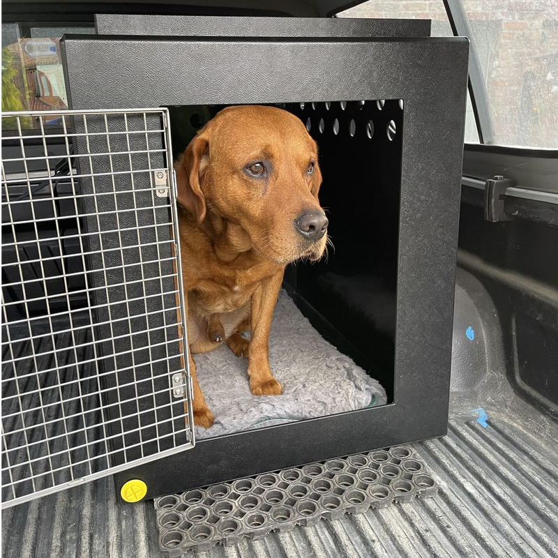MERCEDES-BENZ X-CLASS | 2016-PRESENT | DOG PICKUP CRATES - DT BOXES