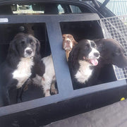 Audi Q3 2011–2018 - DT-10 DT Box DT BOXES 