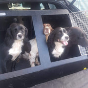 Audi Q3 (2019>) Dog Car Travel Crate - The DT 10 DT Box DT BOXES 