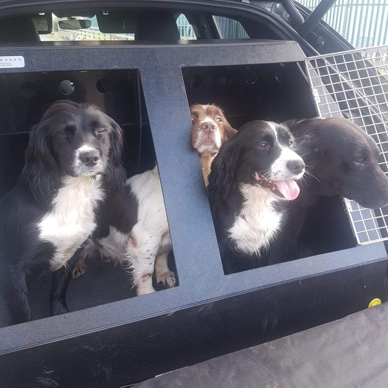 Audi Q3 (2019>) Dog Car Travel Crate - The DT 10 DT Box DT BOXES 