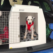 Citroën C4 Picasso | 2013 - Present | DT Box Dog Car Travel Crate - DT 6 DT Box DT BOXES 