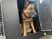 Citroen e-Berlingo/ Peugeot e-Rifter | 2018–present | Dog Travel Crate | The DT 12 DT Box DT BOXES 