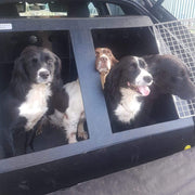 DT Box Dog Car Crate - DT 10 DT Box DT BOXES 