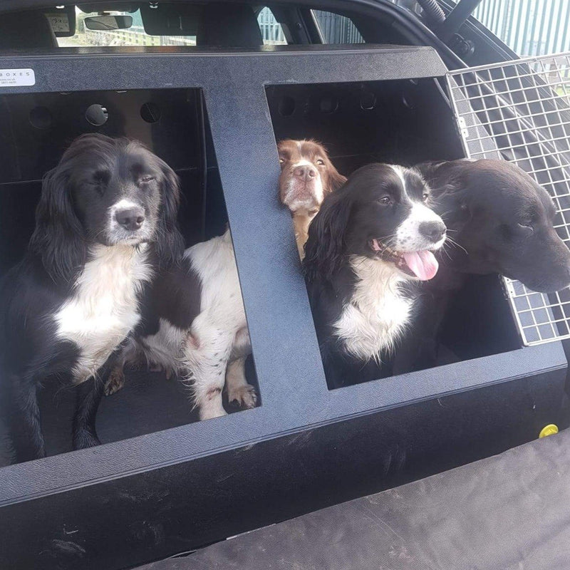 DT Box Dog Car Crate - DT 10 DT Box DT BOXES 