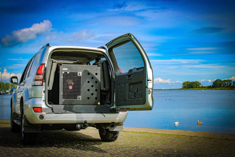 DT Box Dog Car Crate - DT DEFENDER DT Box DT BOXES 