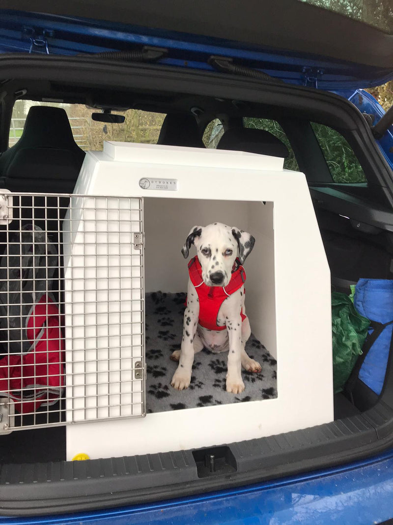 DT Box Dog Car Travel Crate- DT 6 DT Box DT BOXES 