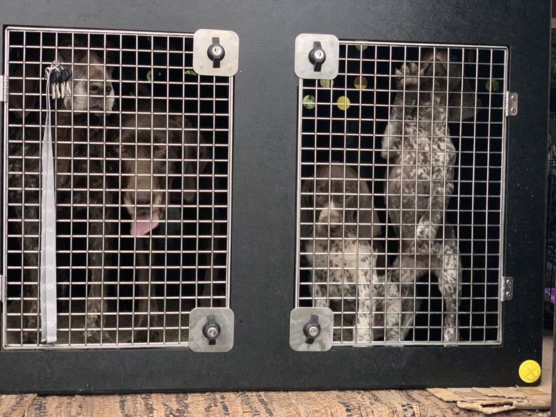 DT Box Dog Car Travel Crate - The DT 1000L DT Box DT BOXES 