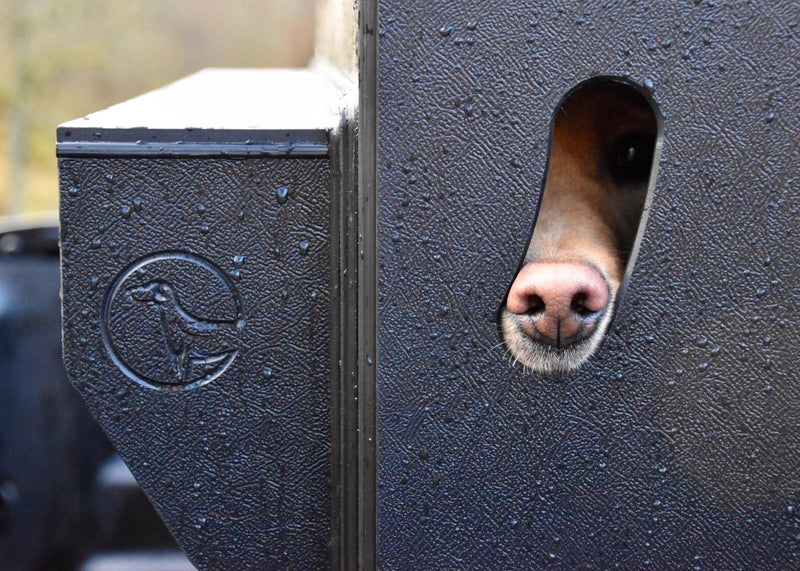 DT Box Dog Car Travel Crate -The DT 1000XL DT Box DT BOXES 