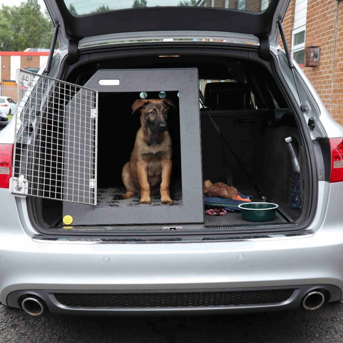 DT Box Dog Car Travel Crate - The DT 2 DT Box DT BOXES 