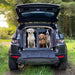 Jaguar E-PACE (2017 - Present) DT Box Dog Car Travel Crate- The DT 9 DT Box DT BOXES 