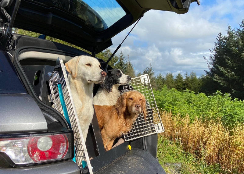 Jaguar E-PACE (2017 - Present) DT Box Dog Car Travel Crate- The DT 9 DT Box DT BOXES 
