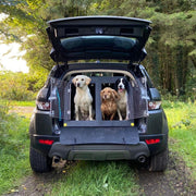 Jeep Compass (2018 - Onwards) DT Box Dog Car Travel Crate- The DT 9 DT Box DT BOXES 