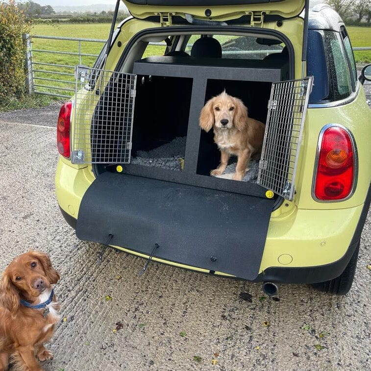 MINI Countryman | 2010–2016 | Dog Travel Crate | DT 20 DT Box DT BOXES 