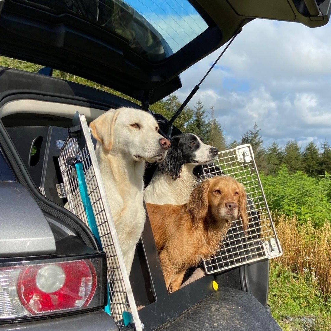 Dog Car Crate for MINI COUNTRYMAN — DT BOXES