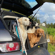 Mitsubishi ASX (2010 - Present) DT Box Dog Car Travel Crate- The DT 9 DT Box DT BOXES 
