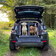 Mitsubishi ASX (2010 - Present) DT Box Dog Car Travel Crate- The DT 9 DT Box DT BOXES 