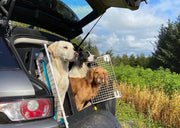 Range Rover Evoque (2018 - Present) DT Box Dog Car Travel Crate- The DT 9 DT Box DT BOXES 