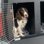 Skoda Yeti Dog Car Travel Crate- DT Box DT Box DT BOXES 