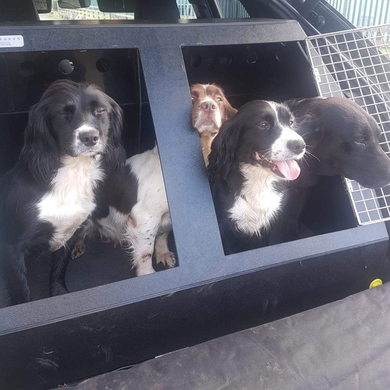 SsangYong Korando (2010 - 2019) DT Box Dog Car Travel Crate - The DT 10 DT Box DT BOXES 