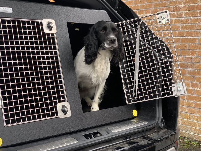 Suzuki SX4 | 2013 - on | Car Travel Crate | The DT 9 DT Box DT BOXES 