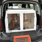 Volkswagen Tiguan | 2021-Present | Lowered Boot | Dog Travel Crate | The DT 15 DT Box DT BOXES 