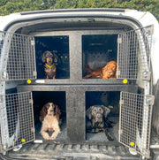 VW Cadddy | 2013-2020 | Double stack Dog Van Kit | DT VS1 DT Box DT BOXES 